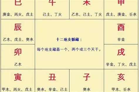 子息二支意思|八字子息意思 